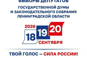 В Ленинградской области проходит голосование на выборах-2026