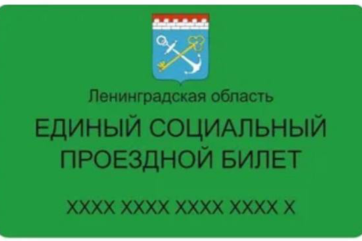 Работа отраслевой информационной системы после внешней кибератаки восстановлена