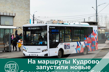 По Кудрово поехали уникальные автобусы