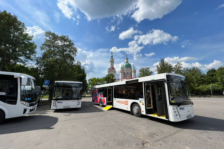 Новые автобусы, валидаторы и «Подорожник»: что принесет Ленинградской области транспортная реформа