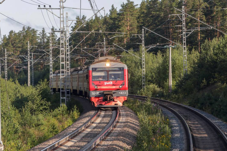 Статистика травматизма на ЖД в Ленинградской области за 2025 год