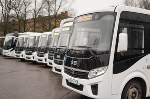 Муниципальные автобусы Кингисепп